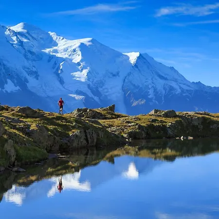 Grand Roc - Campanules 202 - Happy Chamonix